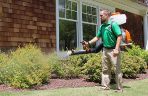 Mosquito Joe of Knoxville technician spraying bushes out of a home. 