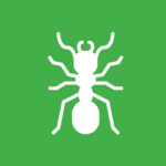fire ant vector on green background